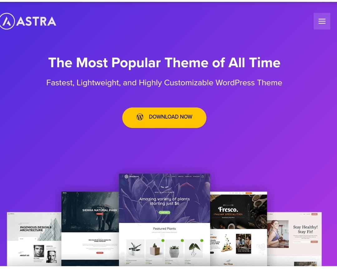 Astra Theme