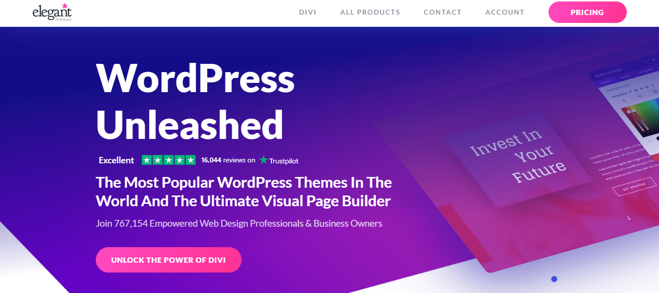 Divi Theme Divi Theme