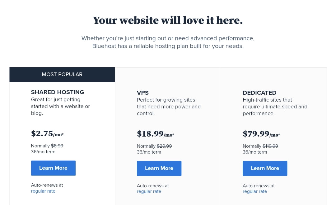 Bluehost Shared Hosting Packages