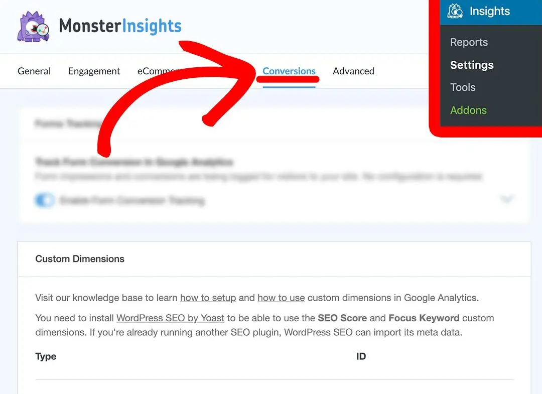 monsterinsight settings conversions custom dimensions